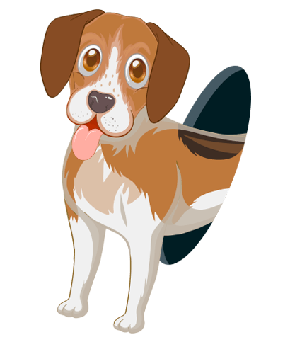 Petspoiler