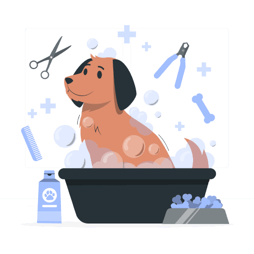 mobile dog grooming Dubai illustration