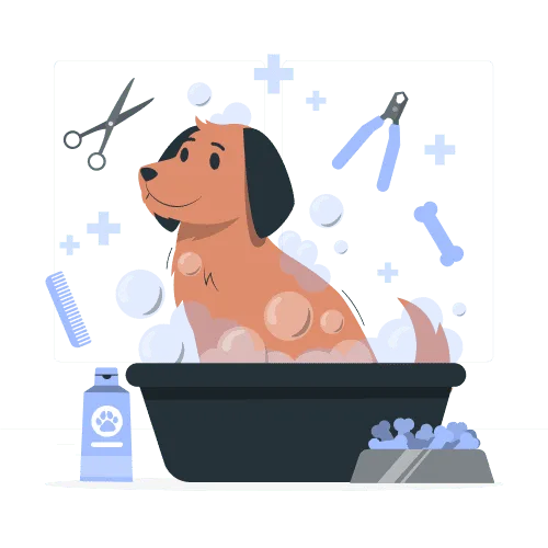 mobile dog grooming Dubai illustration