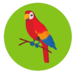 Bird Shop Products